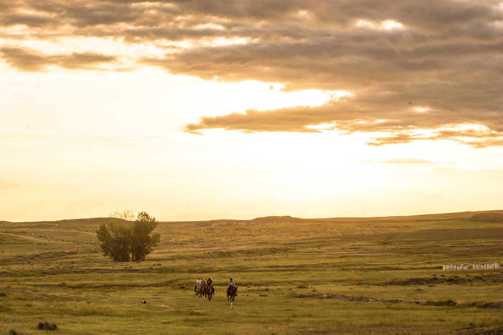 Montana’s Missouri River Country Image 7