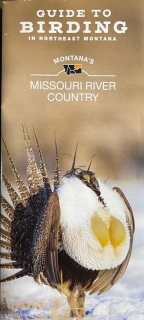 BIRDING TRAIL BROCHURE