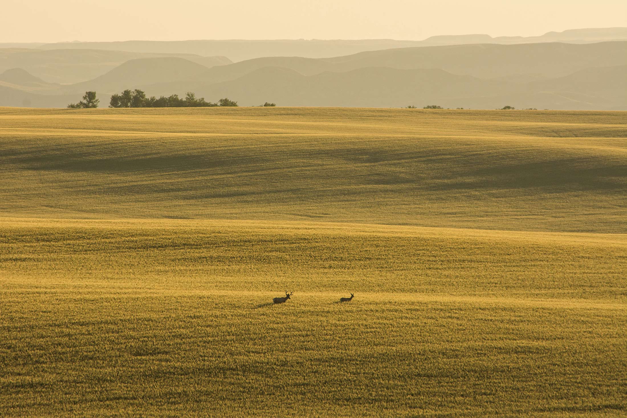 Order a Travel Guide in Montana's Missouri River Country