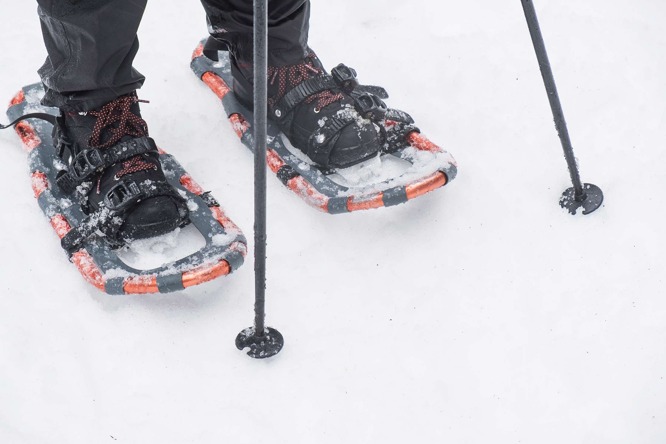 Snowshoeing | Montana’s Missouri River Country