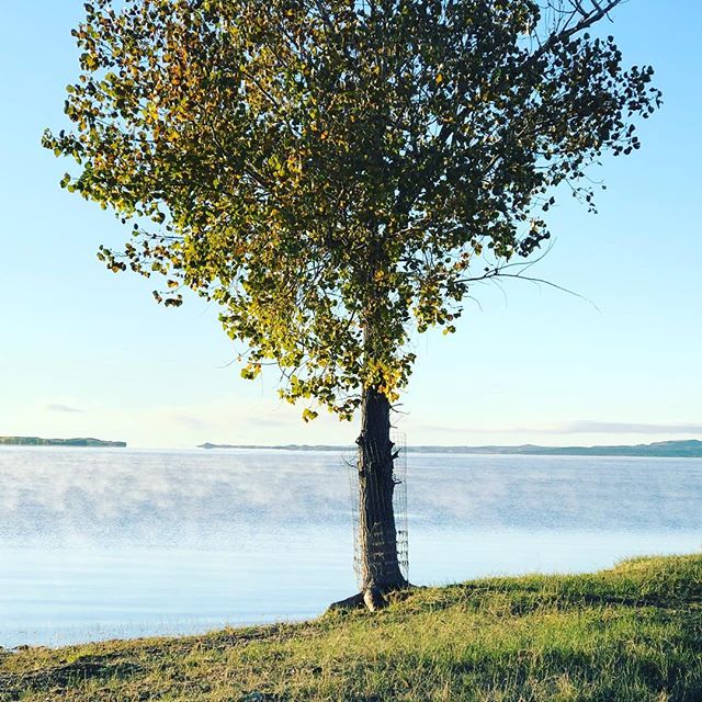 Bolster Dam Campgrounds | Missouri River Country