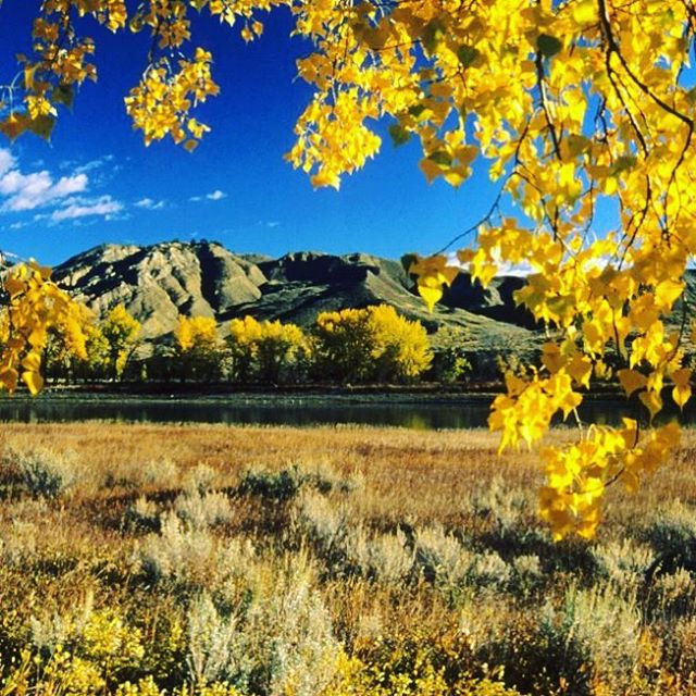 Rookery Public Access Site | Missouri River Country